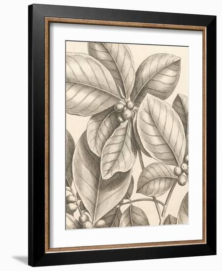 Tropical Connection I-Louis Van Houtte-Framed Art Print