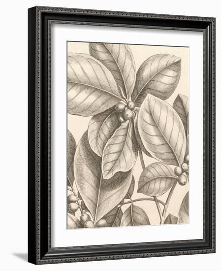 Tropical Connection I-Louis Van Houtte-Framed Art Print