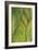 Tropical Crop II-Melissa Wang-Framed Art Print