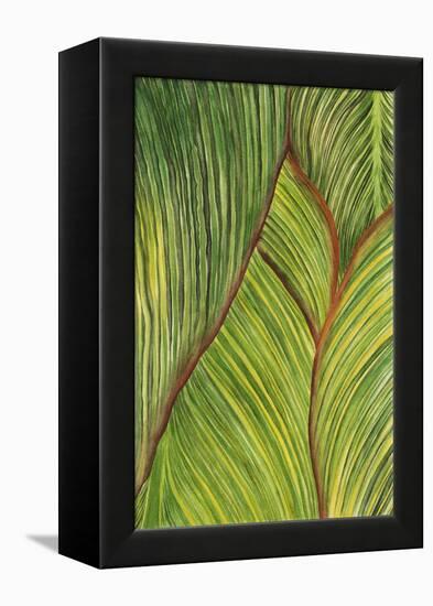 Tropical Crop II-Melissa Wang-Framed Stretched Canvas