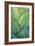 Tropical Crop IV-Melissa Wang-Framed Art Print