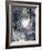 Tropical Cyclone Wilma-Stocktrek Images-Framed Photographic Print