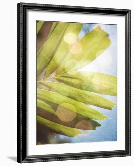 Tropical Daydream I-Emily Robinson-Framed Photographic Print