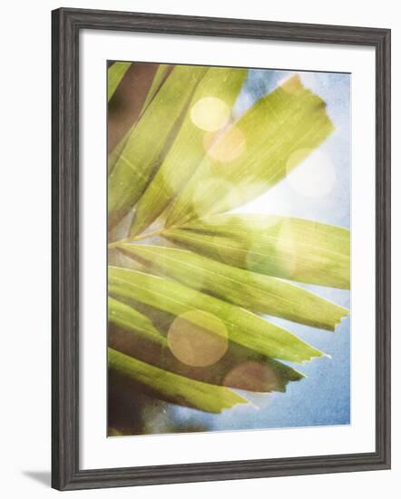 Tropical Daydream I-Emily Robinson-Framed Photographic Print