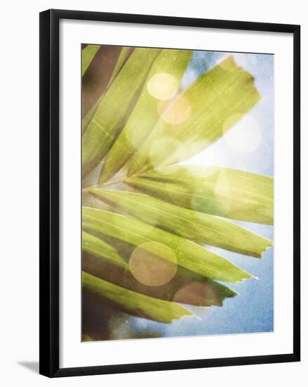 Tropical Daydream I-Emily Robinson-Framed Photographic Print