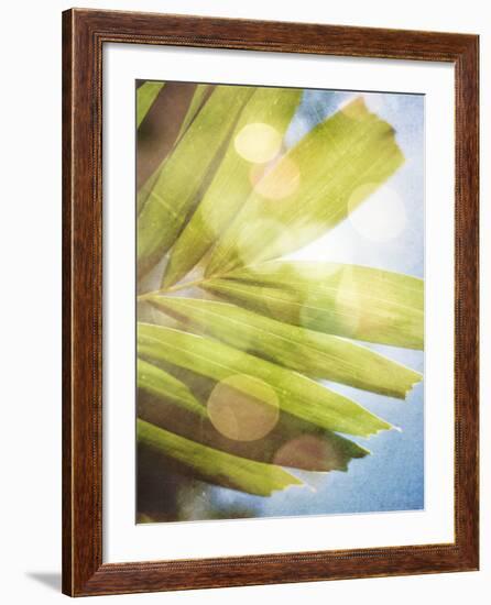 Tropical Daydream I-Emily Robinson-Framed Photographic Print