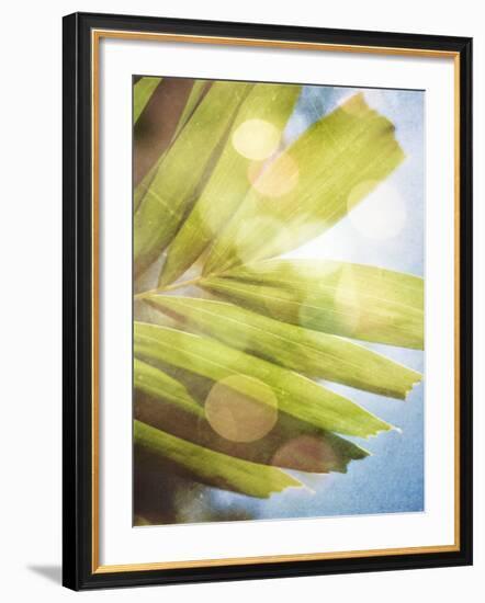 Tropical Daydream I-Emily Robinson-Framed Photographic Print