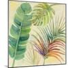 Tropical Delight I-Albena Hristova-Mounted Art Print