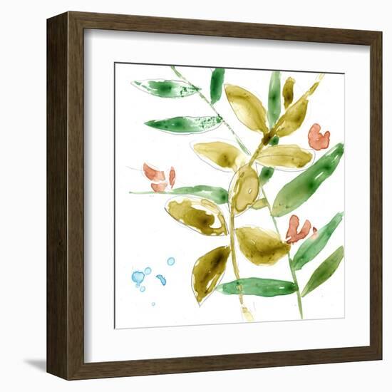 Tropical Display V-Jennifer Goldberger-Framed Art Print