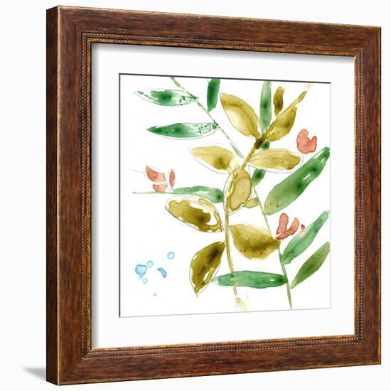 Tropical Display V-Jennifer Goldberger-Framed Art Print