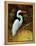 Tropical Egret I-Kilian-Framed Stretched Canvas