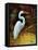 Tropical Egret I-Kilian-Framed Stretched Canvas