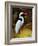 Tropical Egret I-Kilian-Framed Art Print