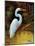 Tropical Egret I-Kilian-Mounted Art Print