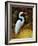 Tropical Egret I-Kilian-Framed Art Print