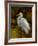 Tropical Egret II-Kilian-Framed Art Print