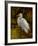 Tropical Egret II-Kilian-Framed Art Print