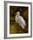 Tropical Egret II-Kilian-Framed Art Print