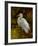 Tropical Egret II-Kilian-Framed Art Print