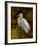 Tropical Egret II-Kilian-Framed Art Print