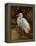 Tropical Egret II-Kilian-Framed Stretched Canvas