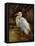 Tropical Egret II-Kilian-Framed Stretched Canvas