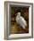 Tropical Egret II-Kilian-Framed Art Print