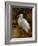 Tropical Egret II-Kilian-Framed Art Print