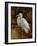 Tropical Egret II-Kilian-Framed Art Print