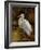 Tropical Egret II-Kilian-Framed Art Print