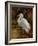 Tropical Egret II-Kilian-Framed Art Print