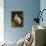 Tropical Egret II-Kilian-Premium Giclee Print displayed on a wall