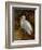 Tropical Egret II-Kilian-Framed Art Print