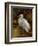 Tropical Egret II-Kilian-Framed Art Print