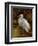 Tropical Egret II-Kilian-Framed Art Print