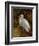 Tropical Egret II-Kilian-Framed Art Print