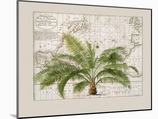 Tropical Empire No1-Andrea Haase-Mounted Giclee Print