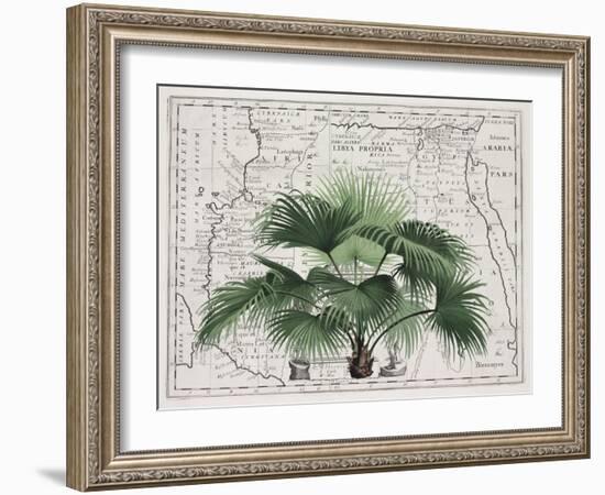 Tropical Empire No3-Andrea Haase-Framed Giclee Print