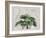 Tropical Empire No3-Andrea Haase-Framed Giclee Print