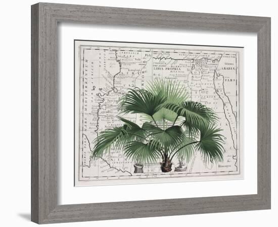 Tropical Empire No3-Andrea Haase-Framed Giclee Print