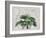 Tropical Empire No3-Andrea Haase-Framed Giclee Print