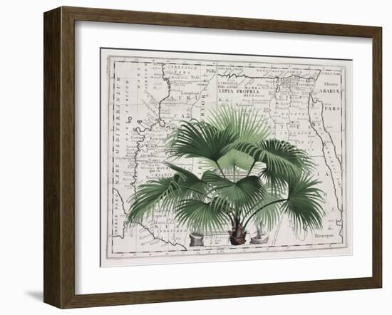 Tropical Empire No3-Andrea Haase-Framed Giclee Print