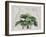 Tropical Empire No3-Andrea Haase-Framed Giclee Print