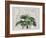 Tropical Empire No3-Andrea Haase-Framed Giclee Print