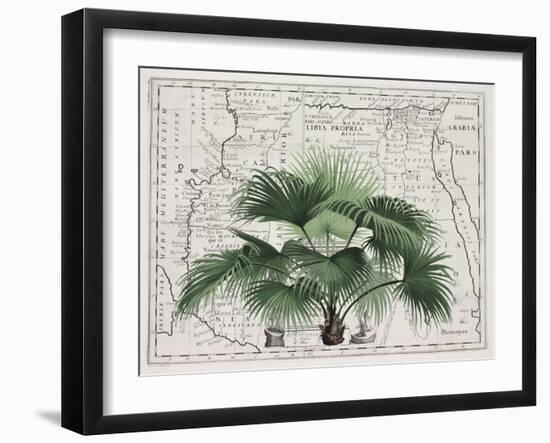 Tropical Empire No3-Andrea Haase-Framed Giclee Print