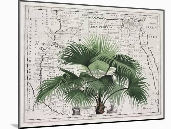 Tropical Empire No3-Andrea Haase-Mounted Giclee Print