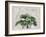 Tropical Empire No3-Andrea Haase-Framed Giclee Print