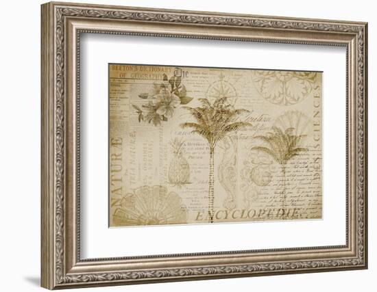 Tropical Encyclopedia-Andrea Haase-Framed Photographic Print