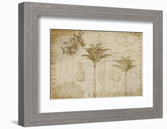 Tropical Encyclopedia-Andrea Haase-Framed Photographic Print