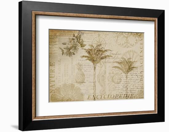 Tropical Encyclopedia-Andrea Haase-Framed Photographic Print